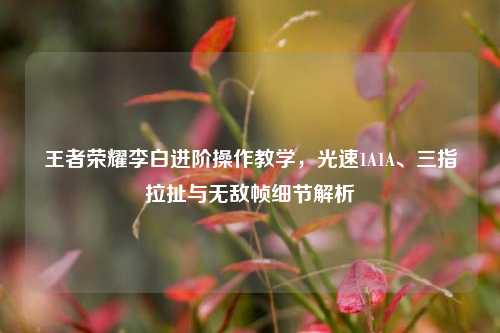 王者荣耀李白进阶操作教学，光速1A1A、三指拉扯与无敌帧细节解析