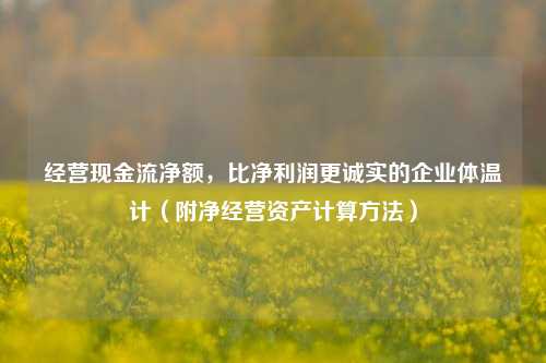 经营现金流净额，比净利润更诚实的企业体温计（附净经营资产计算方法）