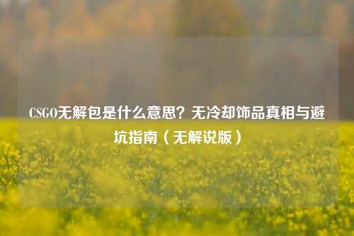 CSGO无解包是什么意思？无冷却饰品真相与避坑指南（无解说版）