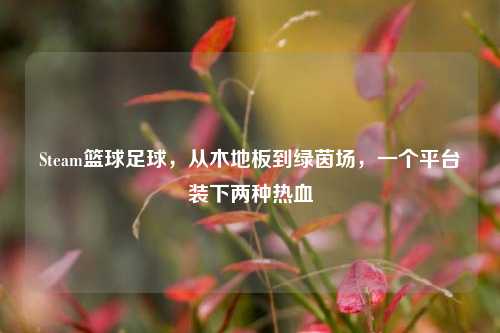 Steam篮球足球，从木地板到绿茵场，一个平台装下两种热血