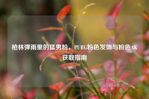 枪林弹雨里的猛男粉，PUBG粉色发饰与粉色AK获取指南