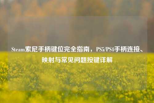 Steam索尼手柄键位完全指南,PS5/PS4手柄连接、映射与常见问题按键详解