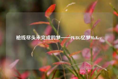 枪线尽头未完成的梦——PUBG忆梦MaKer