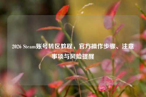 2026 Steam账号转区教程,官方操作步骤、注意事项与风险提醒