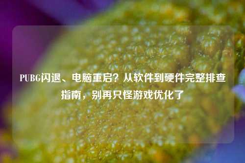 PUBG闪退、电脑重启?从软件到硬件完整排查指南,别再只怪游戏优化了