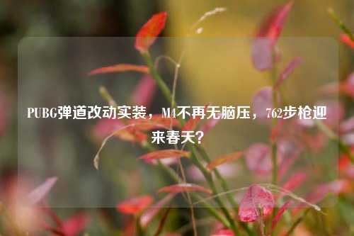 PUBG弹道改动实装，M4不再无脑压，762步枪迎来春天？