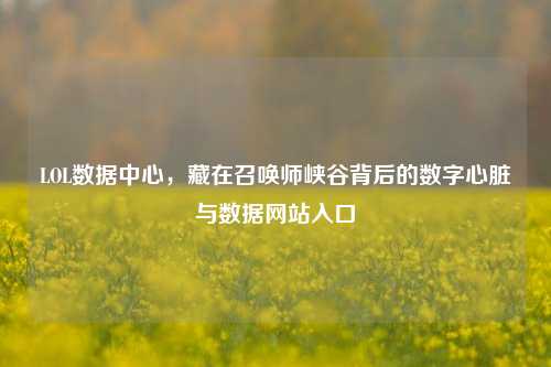LOL数据中心,藏在召唤师峡谷背后的数字心脏与数据网站入口