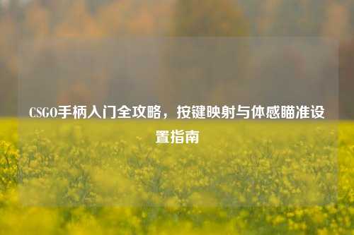 CSGO手柄入门全攻略,按键映射与体感瞄准设置指南
