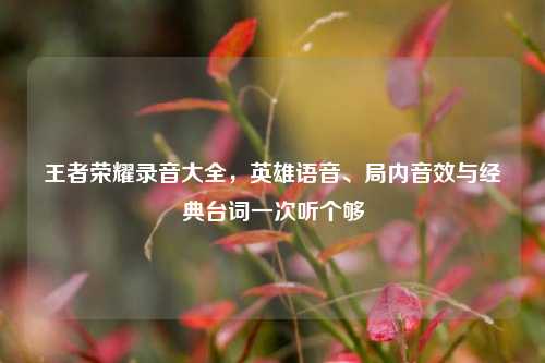 王者荣耀录音大全,英雄语音、局内音效与经典台词一次听个够