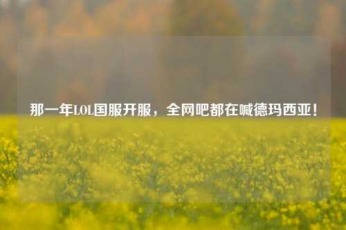 那一年LOL国服开服,全网吧都在喊德玛西亚!