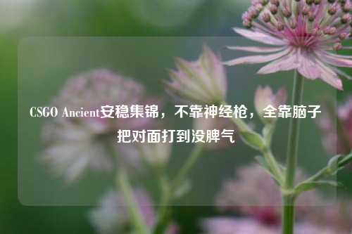 CSGO Ancient安稳集锦,不靠神经枪,全靠脑子把对面打到没脾气