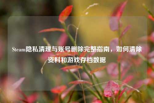 Steam隐私清理与账号删除完整指南,如何清除资料和游戏存档数据