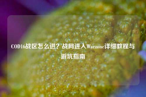 COD16战区怎么进?战网进入Warzone详细教程与避坑指南