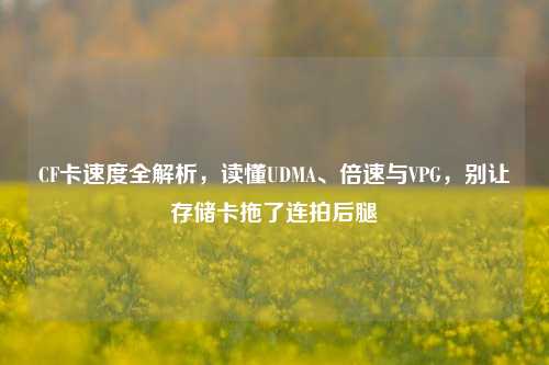 CF卡速度全解析，读懂UDMA、倍速与VPG，别让存储卡拖了连拍后腿