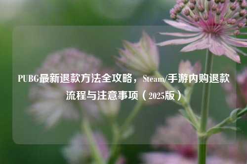 PUBG最新退款方法全攻略，Steam/手游内购退款流程与注意事项（2025版）