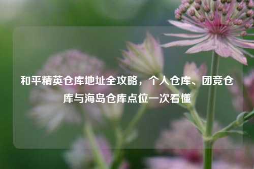 和平精英仓库地址全攻略，个人仓库、团竞仓库与海岛仓库点位一次看懂