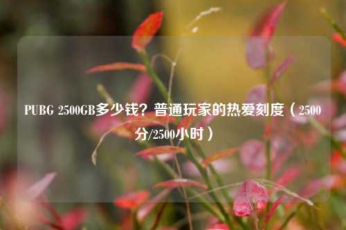 PUBG 2500GB多少钱？普通玩家的热爱刻度（2500分/2500小时）