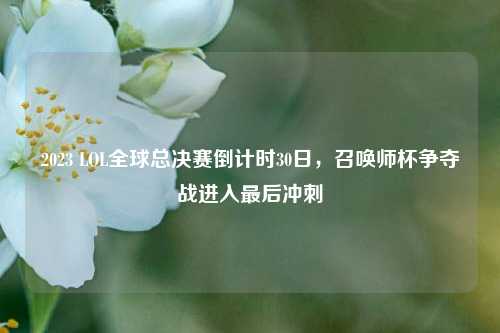 2023 LOL全球总决赛倒计时30日，召唤师杯争夺战进入最后冲刺