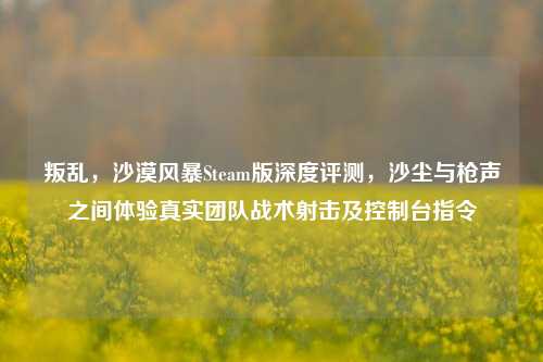 叛乱，沙漠风暴Steam版深度评测，沙尘与枪声之间体验真实团队战术射击及控制台指令