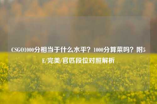CSGO1000分相当于什么水平？1000分算菜吗？附5E/完美/官匹段位对照解析