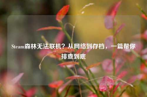 Steam森林无法联机？从网络到存档，一篇帮你排查到底
