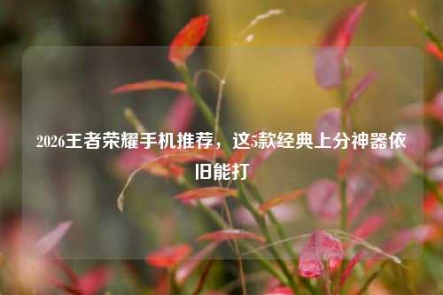 2026王者荣耀手机推荐，这5款经典上分神器依旧能打