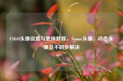 CSGO头像设置与更换教程，Steam头像、动态头像及不同步解决