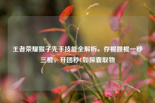王者荣耀猴子先手技能全解析，存棍跳棍一秒三棍，开团秒C如探囊取物
