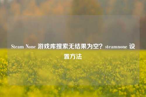 Steam None 游戏库搜索无结果为空？steamnone 设置方法