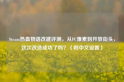 Steam热血物语改建评测，从FC像素到开放街头，这次改造成功了吗？（附中文设置）