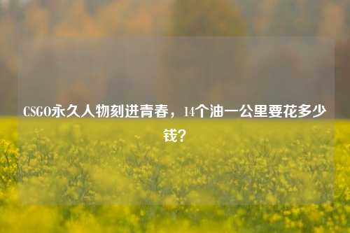CSGO永久人物刻进青春,14个油一公里要花多少钱?