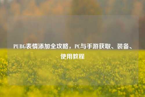PUBG表情添加全攻略，PC与手游获取、装备、使用教程