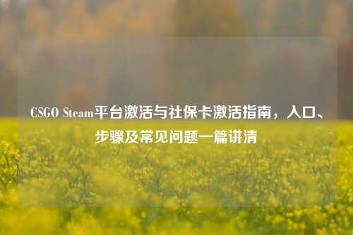 CSGO Steam平台激活与社保卡激活指南，入口、步骤及常见问题一篇讲清