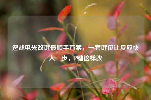逆战电光改键最顺手方案，一套键位让反应快人一步，P键这样改