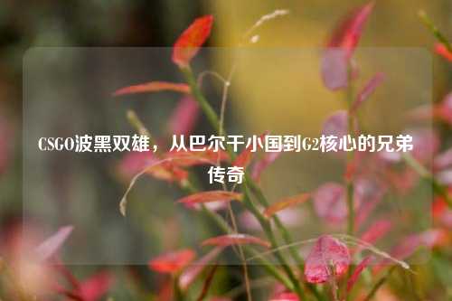 CSGO波黑双雄,从巴尔干小国到G2核心的兄弟传奇