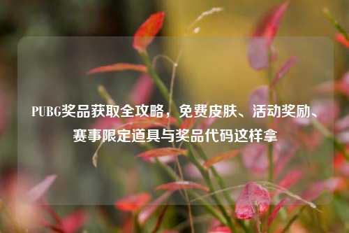 PUBG奖品获取全攻略，免费皮肤、活动奖励、赛事限定道具与奖品代码这样拿