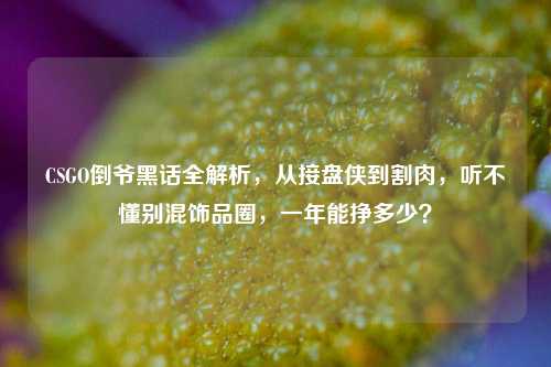 CSGO倒爷黑话全解析，从接盘侠到割肉，听不懂别混饰品圈，一年能挣多少？