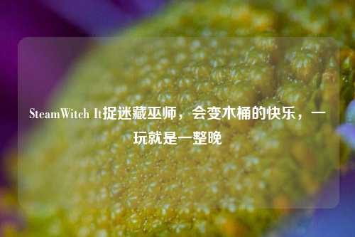 SteamWitch It捉迷藏巫师，会变木桶的快乐，一玩就是一整晚