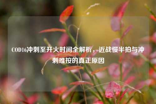 COD16冲刺至开火时间全解析,近战慢半拍与冲刺难按的真正原因