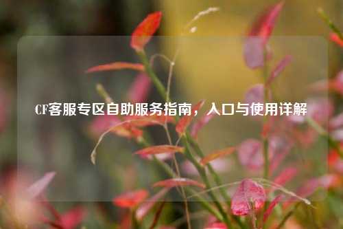 CF客服专区自助服务指南,入口与使用详解