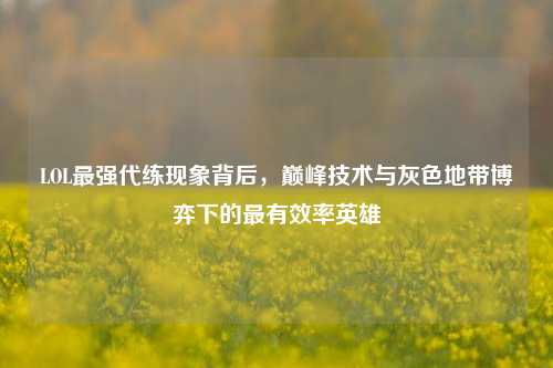 LOL最强代练现象背后，巅峰技术与灰色地带博弈下的最有效率英雄