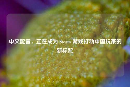 中文配音，正在成为 Steam 游戏打动中国玩家的新标配