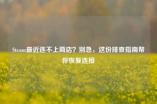 Steam最近连不上商店？别急，这份排查指南帮你恢复连接