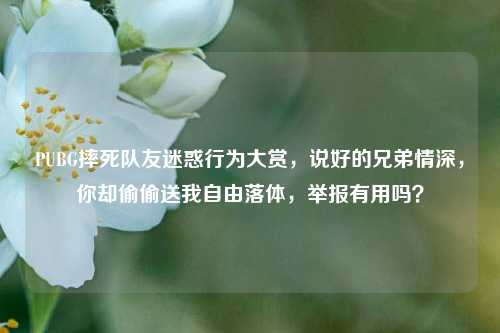 PUBG摔死队友迷惑行为大赏，说好的兄弟情深，你却偷偷送我自由落体，举报有用吗？