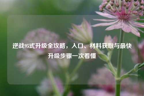 逆战95式升级全攻略，入口、材料获取与最快升级步骤一次看懂