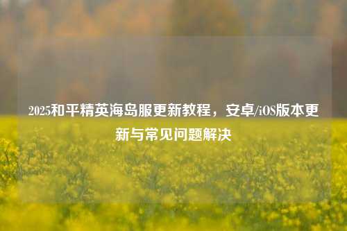 2025和平精英海岛服更新教程,安卓/iOS版本更新与常见问题解决