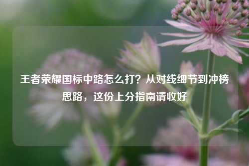 王者荣耀国标中路怎么打?从对线细节到冲榜思路,这份上分指南请收好