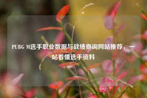 PUBG M选手职业数据与战绩查询网站推荐,一站看懂选手资料