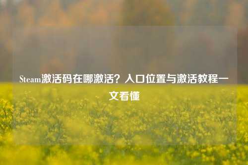 Steam激活码在哪激活？入口位置与激活教程一文看懂