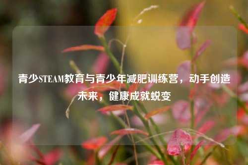 青少STEAM教育与青少年减肥训练营,动手创造未来,健康成就蜕变